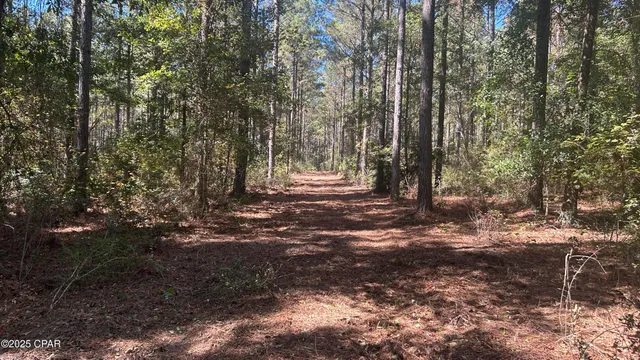 $589,900 | 147 Hwy Laurel Hill, Laurel Hill, FL 32567