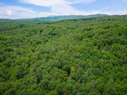 $339,000 | 14 Finch Lane, Blue Ridge, GA 30513