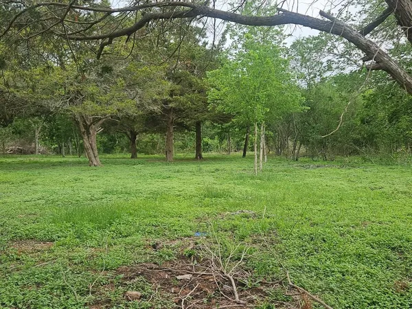 a green field with lots of bushes