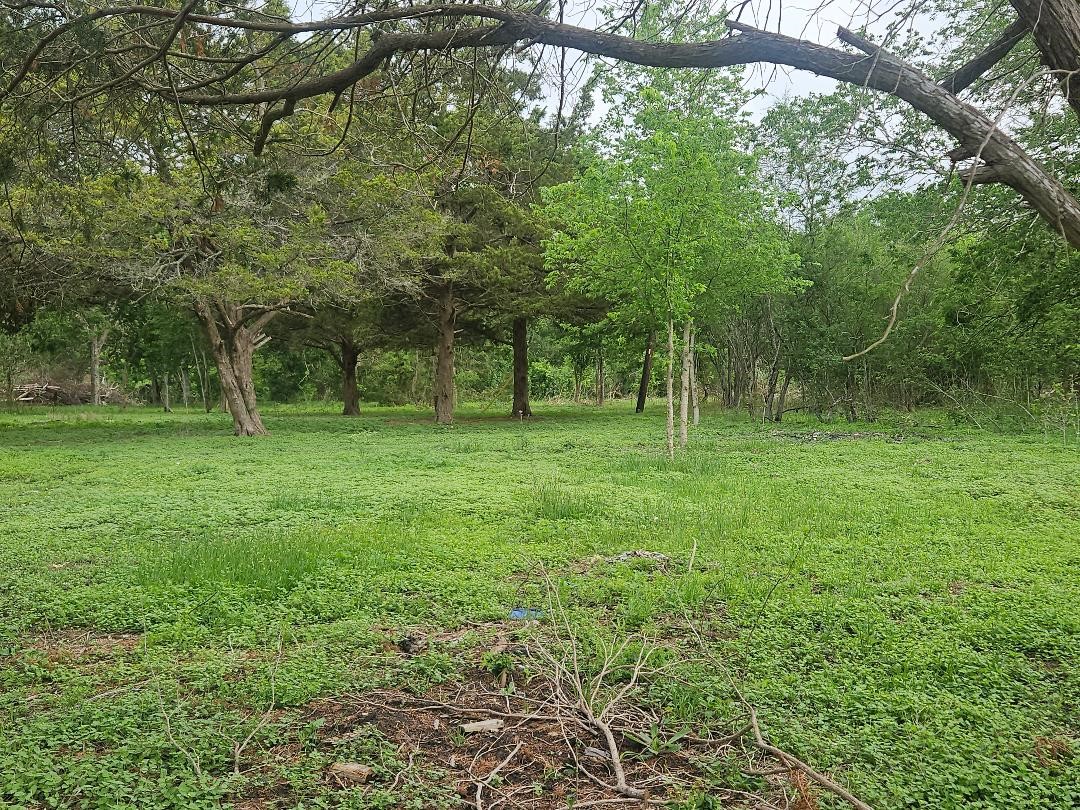 7055 Chadwick-Hogan Road Chappell Hill, TX 77426 - Photo 1 of 3