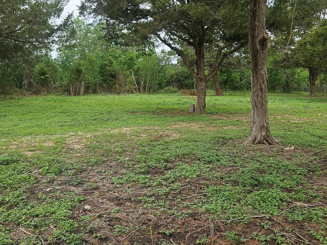 7055 Chadwick-Hogan Road Chappell Hill, TX 77426 - Photo 2 of 3