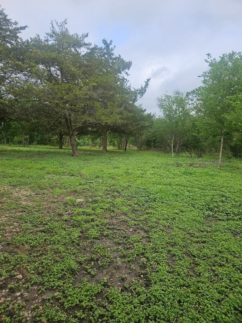 7055 Chadwick-Hogan Road Chappell Hill, TX 77426 - Photo 3 of 3