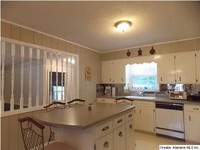 702 Chestnut Street Oneonta, AL 35121 - Photo 10 of 31