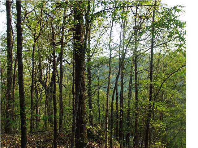 1 Dancing Fern Road Sequatchie, TN 37374 - Photo 1 of 4 Primary Photo