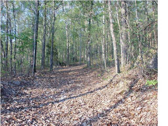 1 Dancing Fern Road Sequatchie, TN 37374 - Photo 2 of 4 Additional Photo