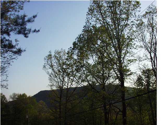 1 Dancing Fern Road Sequatchie, TN 37374 - Photo 4 of 4 Additional Photo