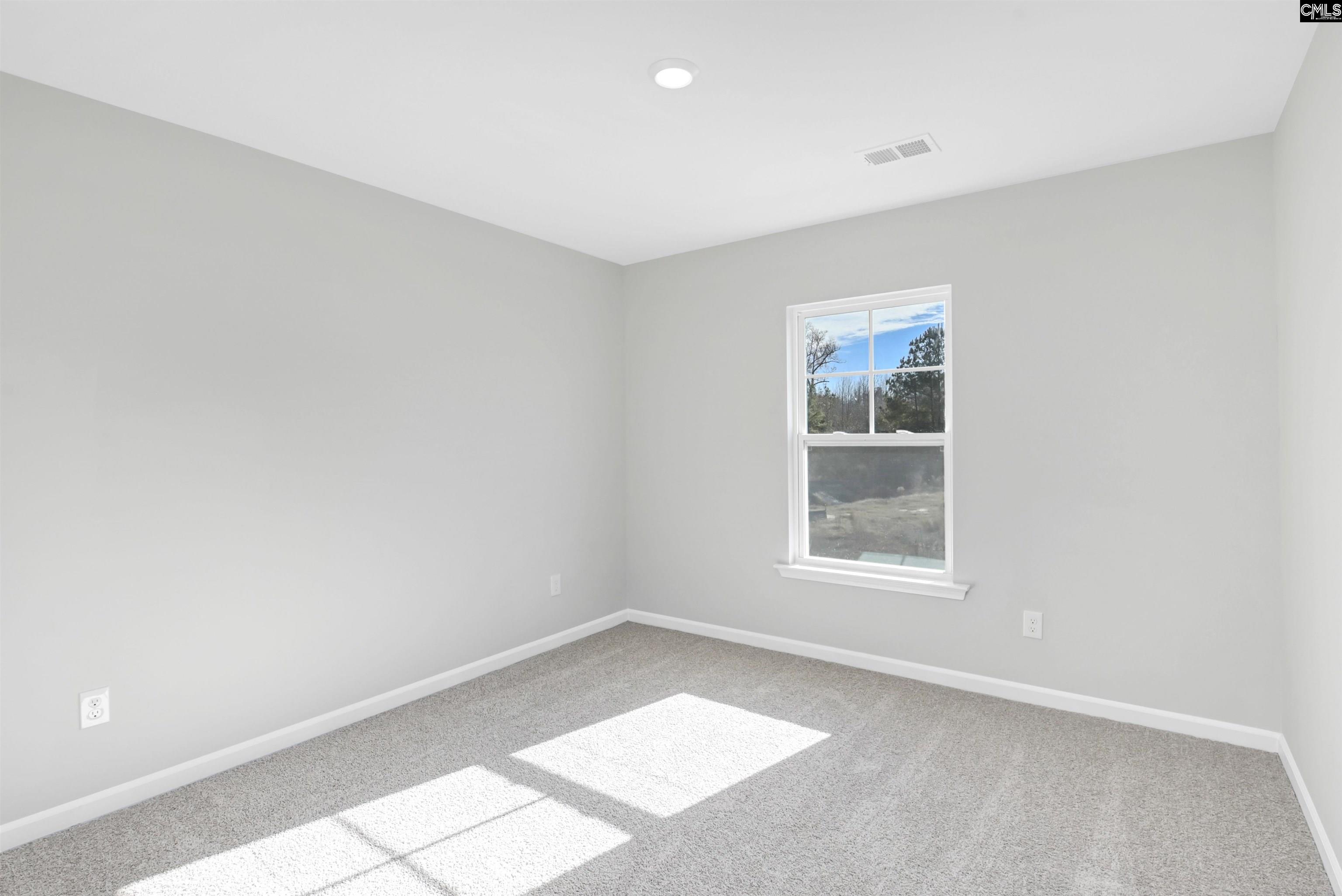 253 Boseman Road Irmo, SC 29063 - Photo 25 of 37