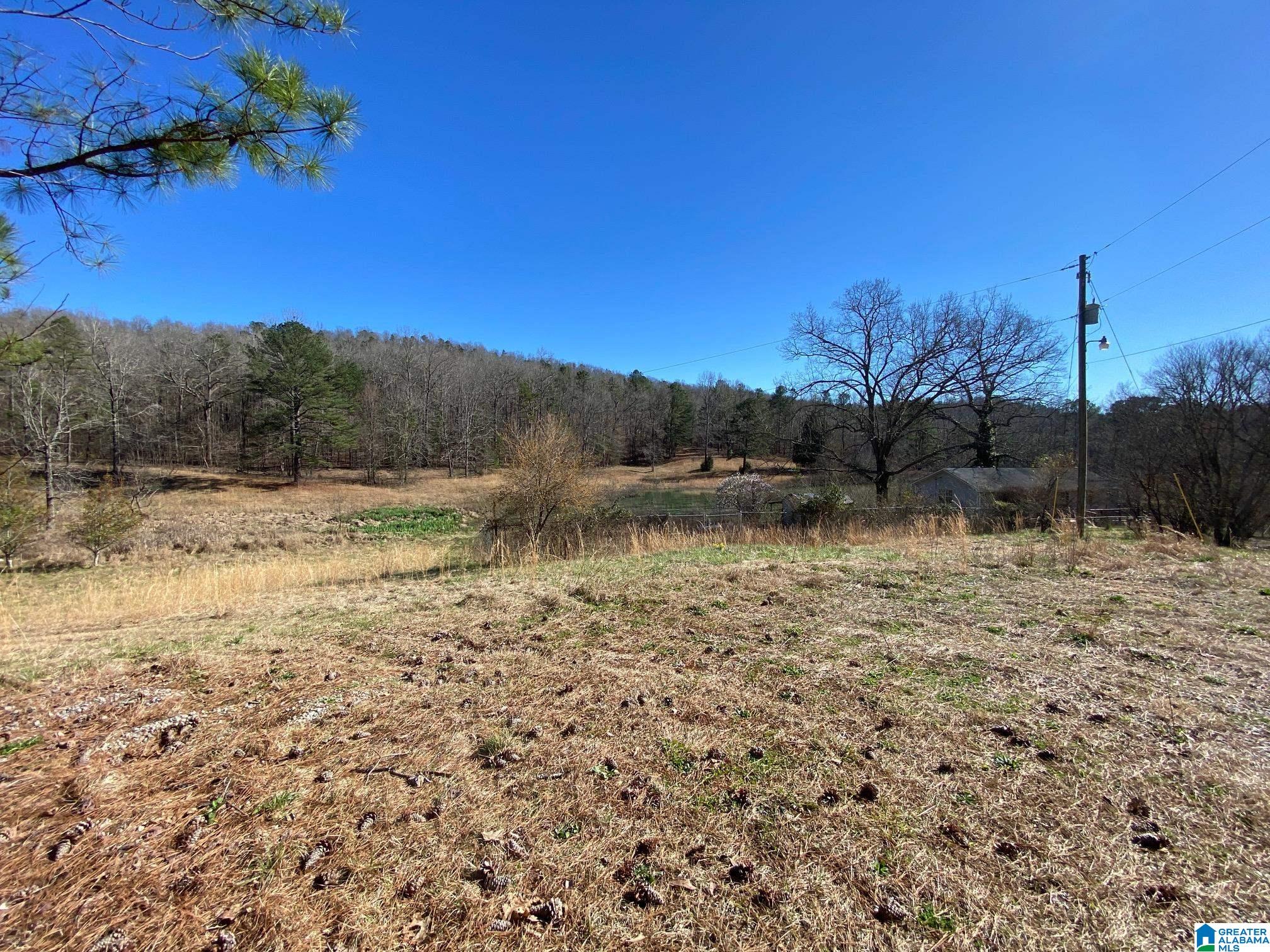 195 Wyatt Lake Road Odenville, AL 35120 - Photo 1 of 16
