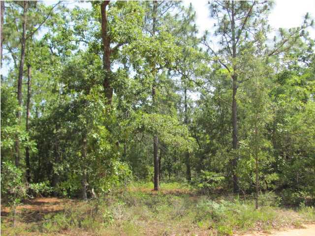 5.3-ac 5.3-ac Burnis Road Crestview, FL 32539 - Photo 2 of 3 a view of outdoor space and trees