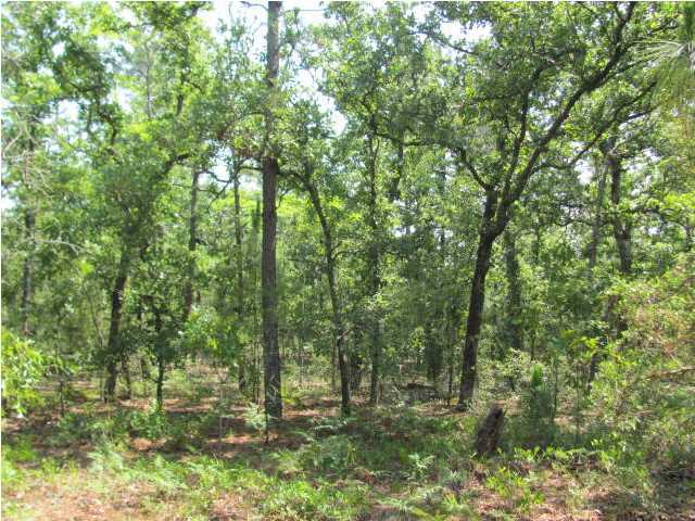 5.3-ac 5.3-ac Burnis Road Crestview, FL 32539 - Photo 3 of 3 a big yard with lots of green space and trees