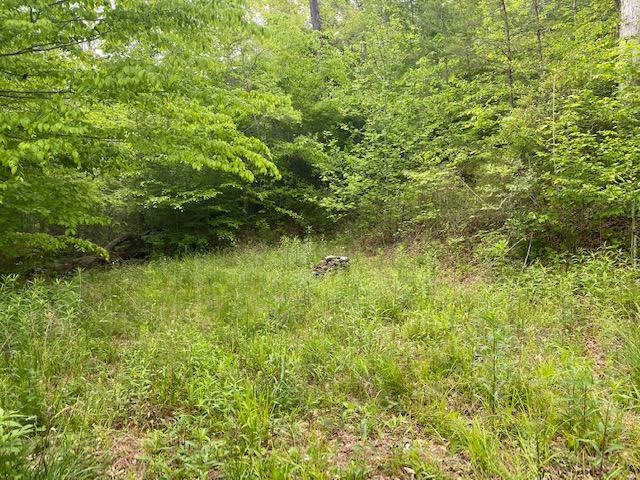 29.38-ac Cagle Road Tellico Plains, TN 37385 - Photo 11 of 11 Meghans 2