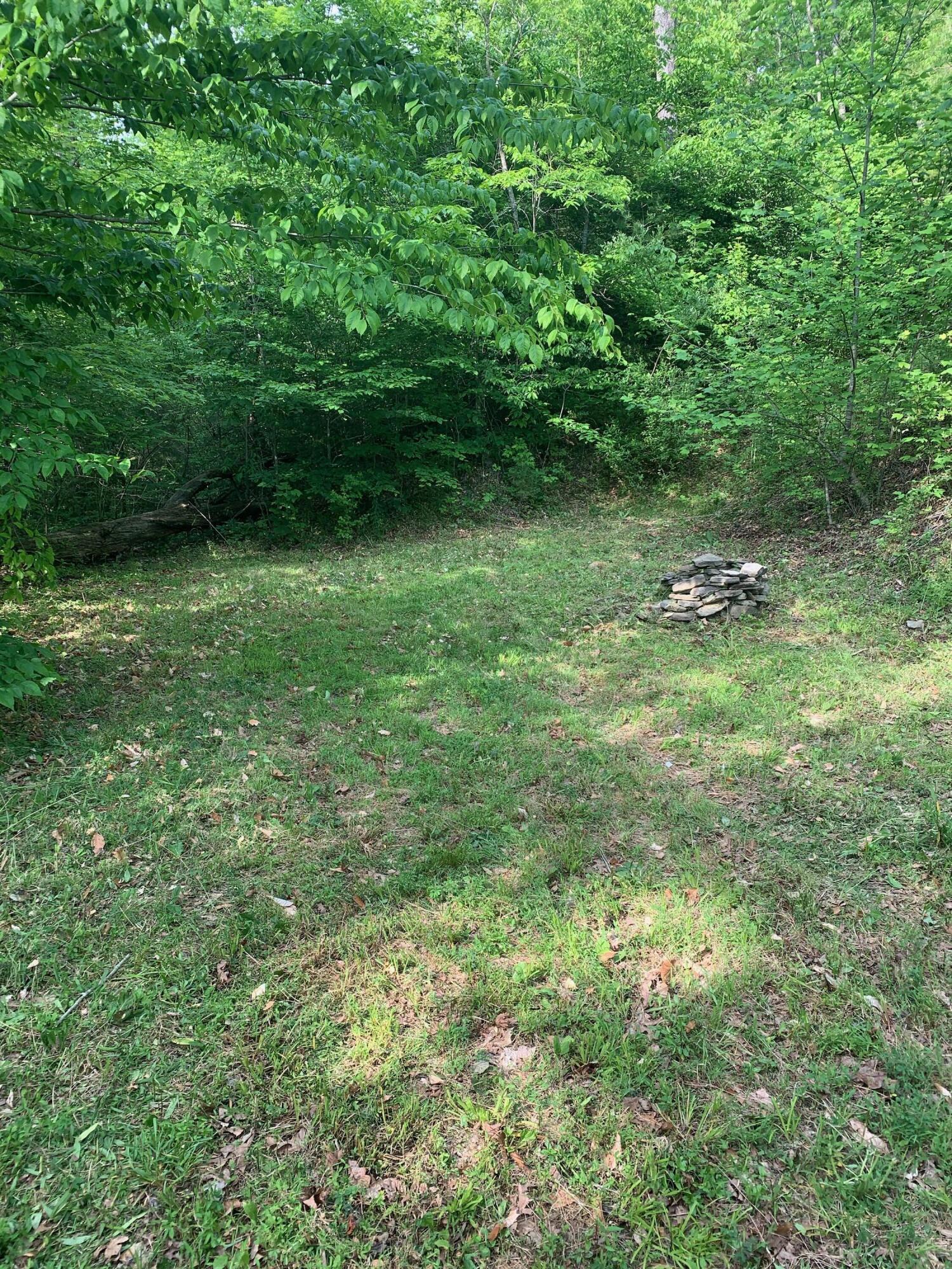 29.38-ac Cagle Road Tellico Plains, TN 37385 - Photo 5 of 11 IMG_1822