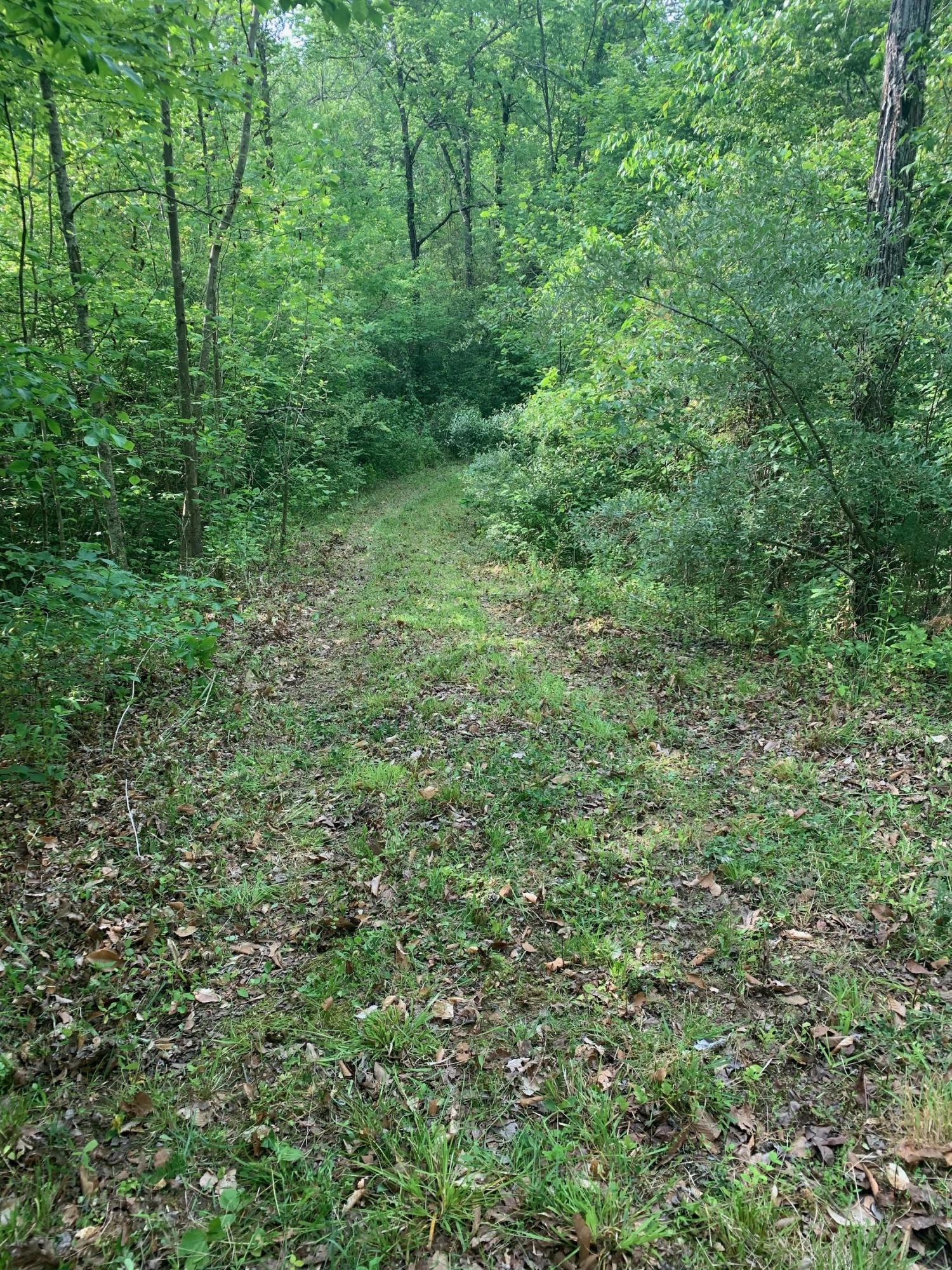 29.38-ac Cagle Road Tellico Plains, TN 37385 - Photo 7 of 11 IMG_1824