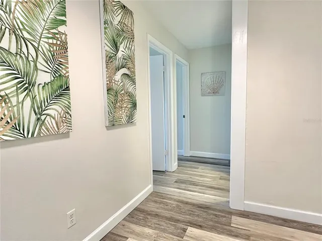 a view of a hallway with wooden floor and a potted plant