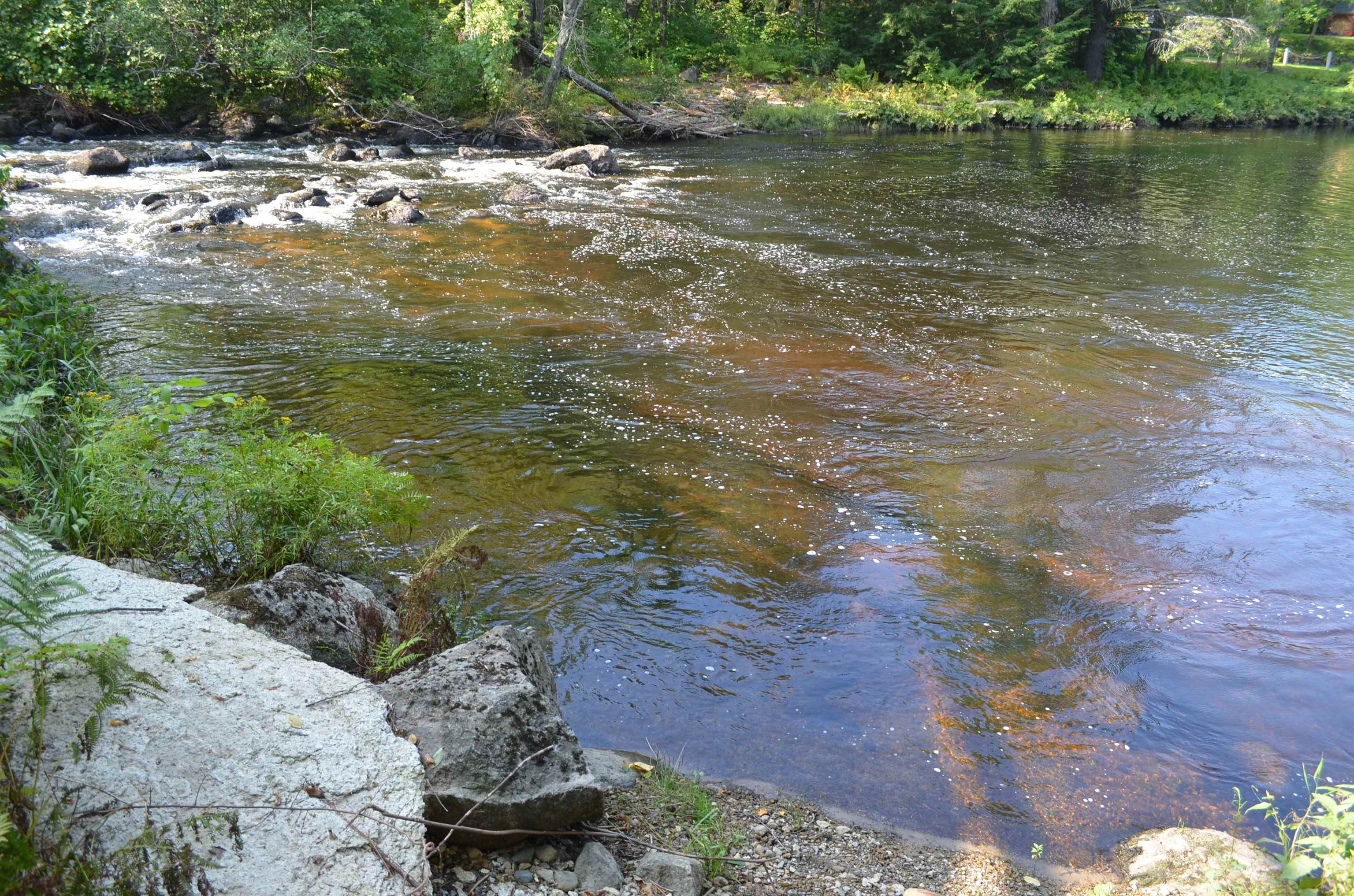 15 Melvin Road Warner, NH 03278 - Photo 32 of 38