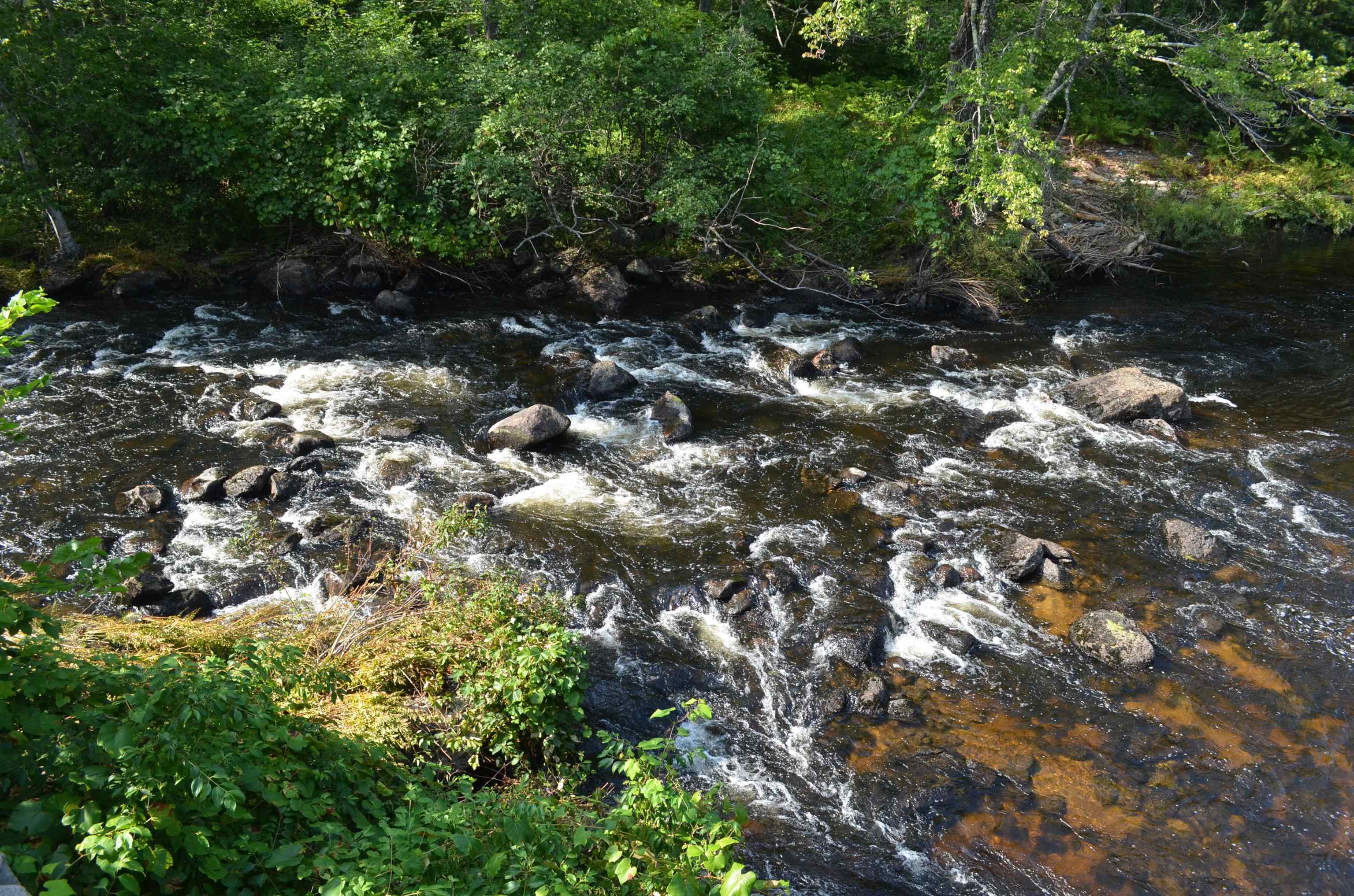15 Melvin Road Warner, NH 03278 - Photo 34 of 38