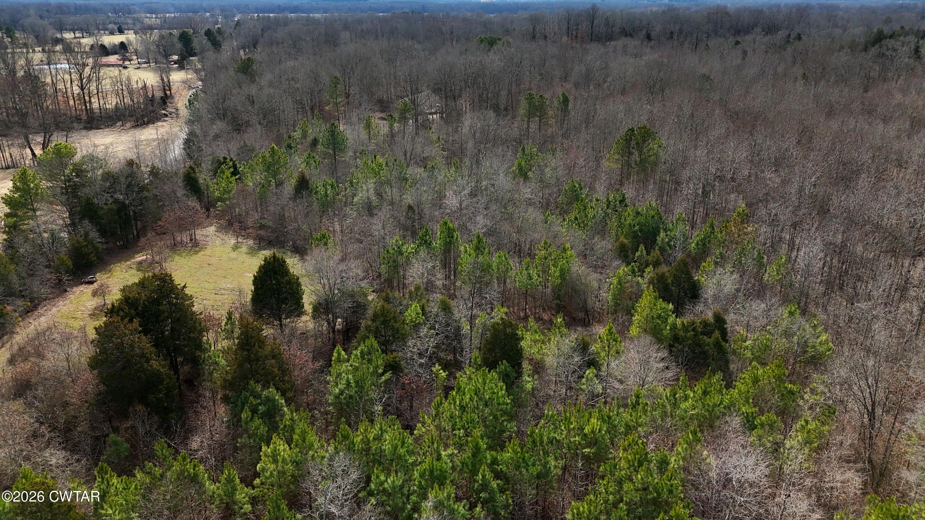 0 Mt Arie Road Greenfield, TN 38230 - Photo 11 of 18 a view of yard along with trees