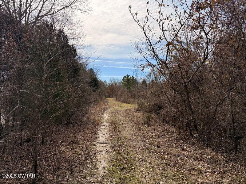 0 Mt Arie Road Greenfield, TN 38230 - Photo 14 of 18 a view of a yard with trees