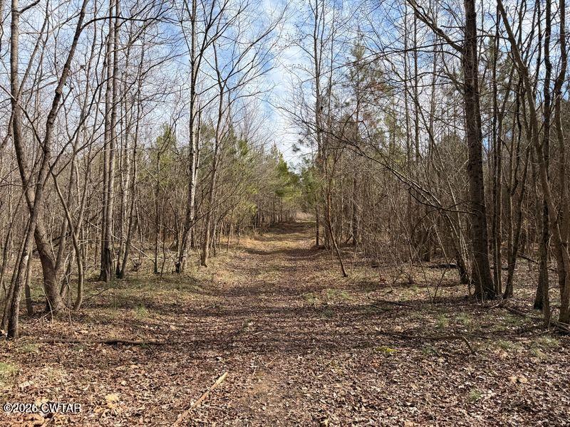 0 Mt Arie Road Greenfield, TN 38230 - Photo 15 of 18