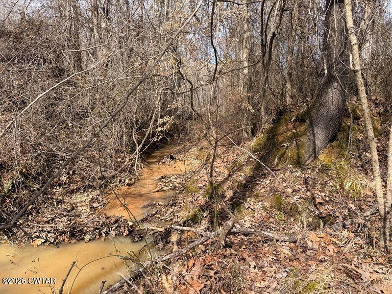 0 Mt Arie Road Greenfield, TN 38230 - Photo 16 of 18 a view of a yard