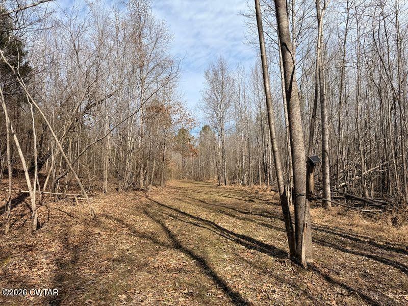 0 Mt Arie Road Greenfield, TN 38230 - Photo 17 of 18 a view of a yard with large trees
