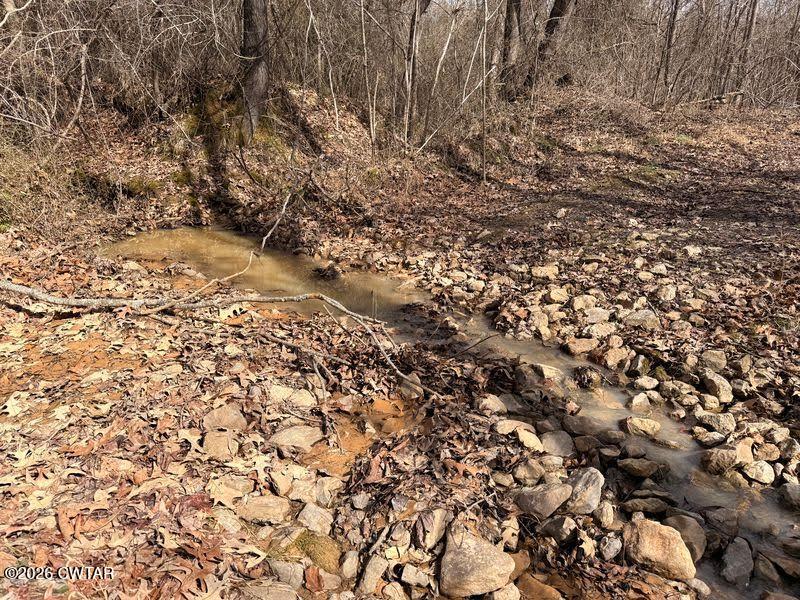 0 Mt Arie Road Greenfield, TN 38230 - Photo 18 of 18 a view of a yard with a tree