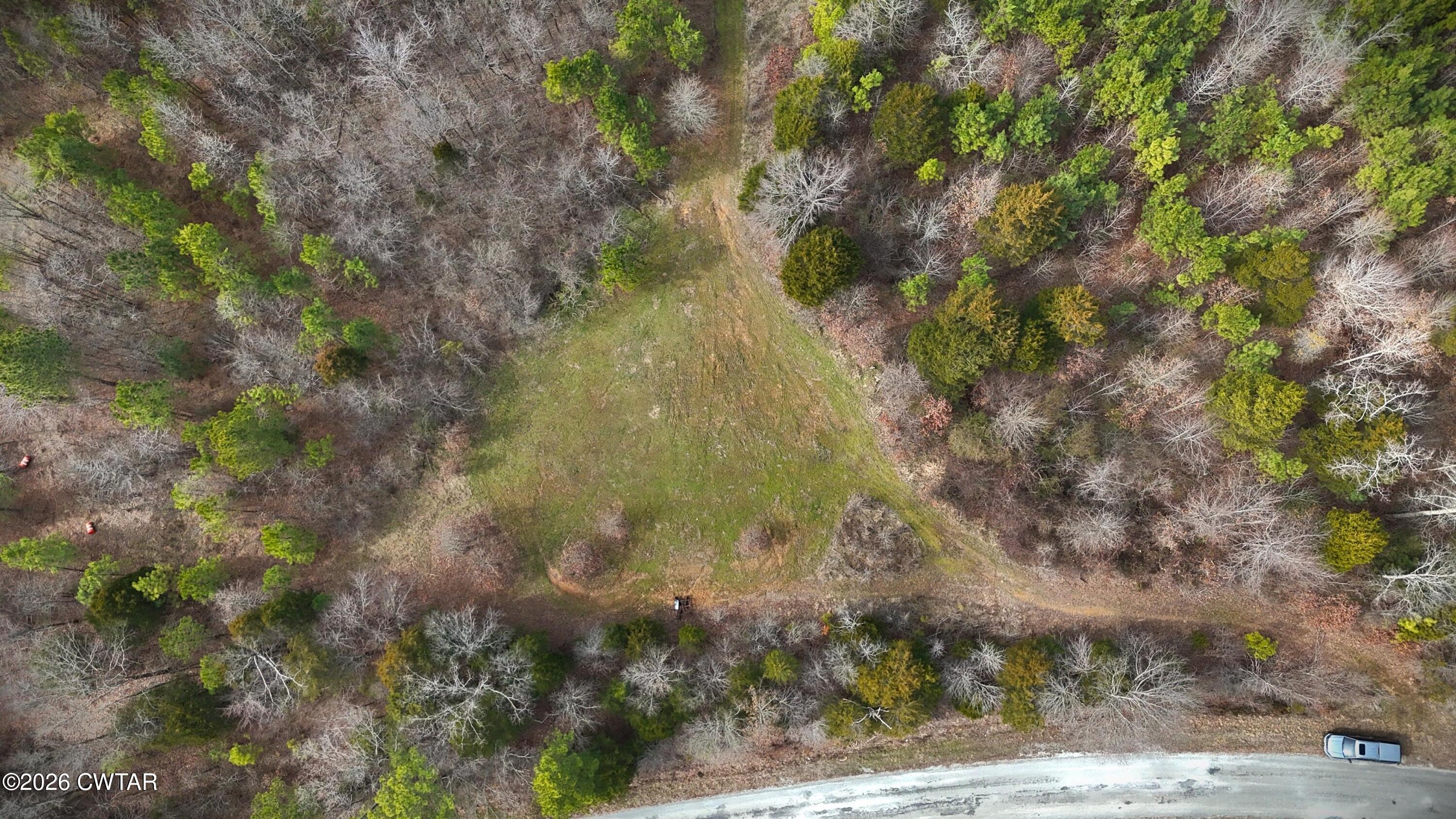 0 Mt Arie Road Greenfield, TN 38230 - Photo 2 of 18 a view of a yard