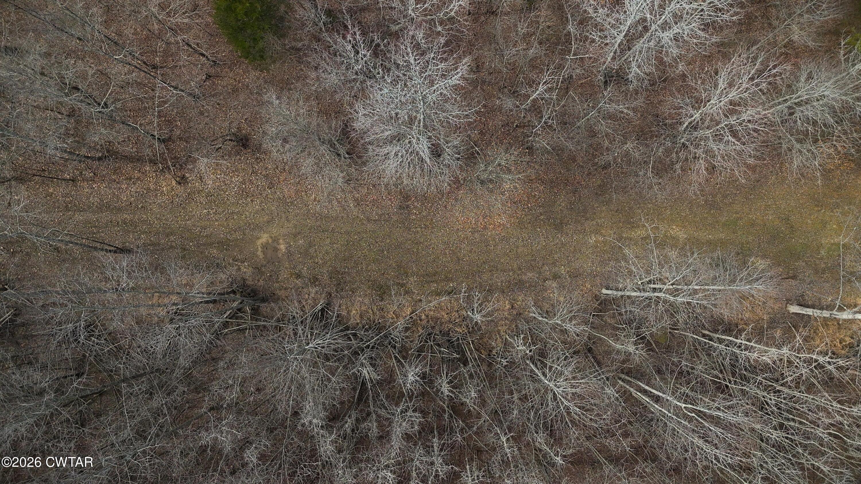 0 Mt Arie Road Greenfield, TN 38230 - Photo 4 of 18 a view of a dry yard