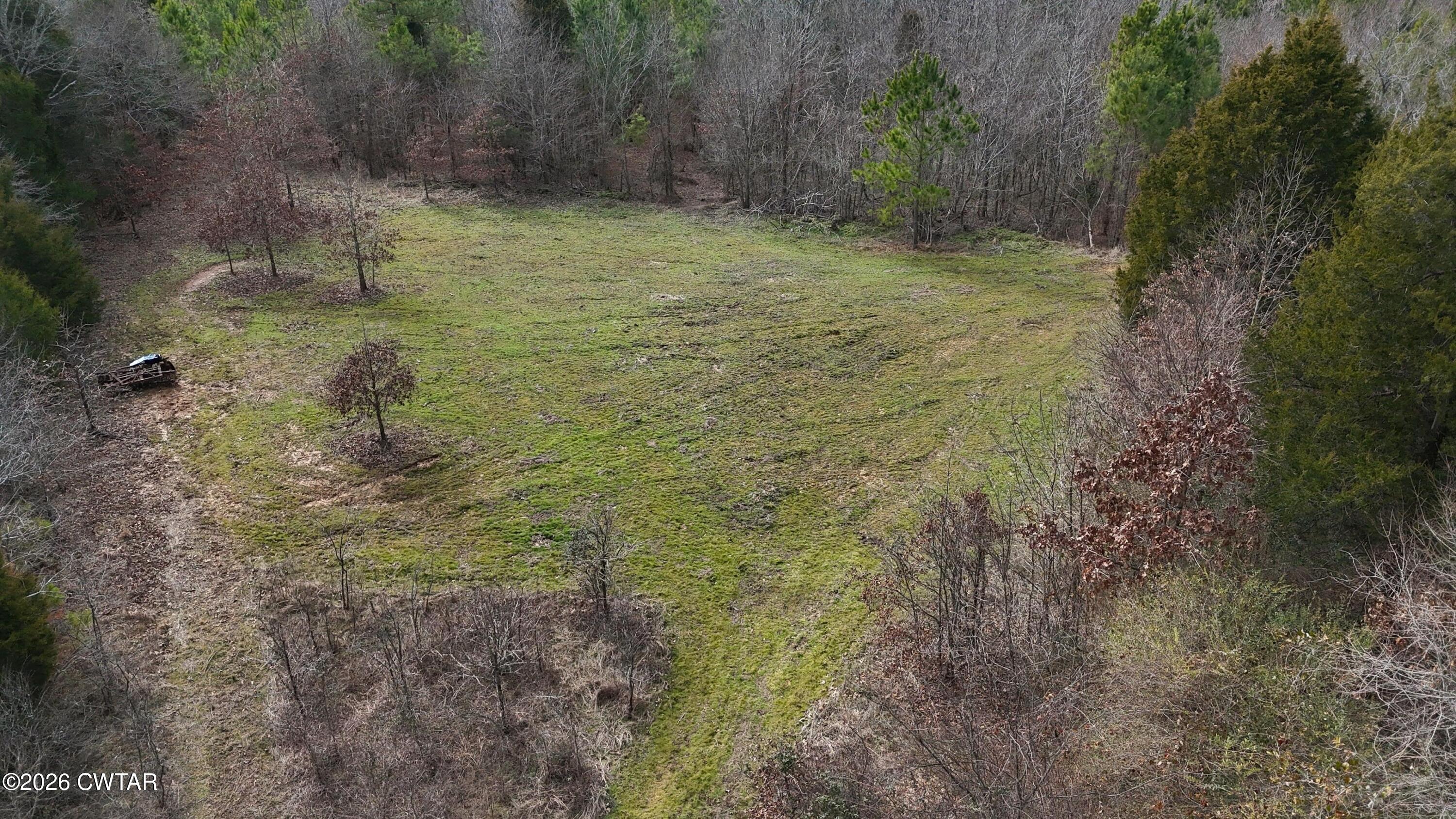 0 Mt Arie Road Greenfield, TN 38230 - Photo 5 of 18 a view of a yard