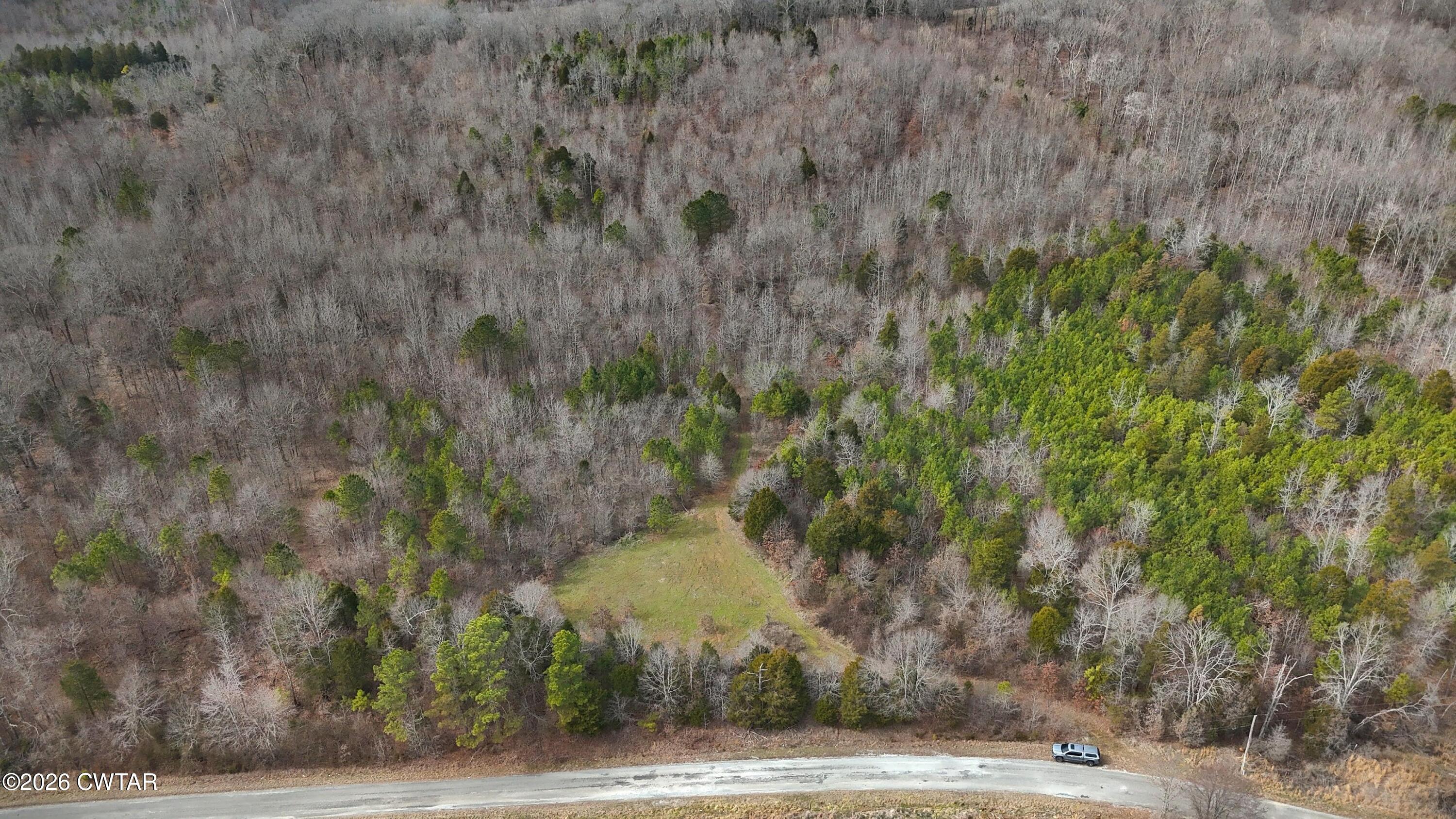0 Mt Arie Road Greenfield, TN 38230 - Photo 6 of 18 a view of a yard