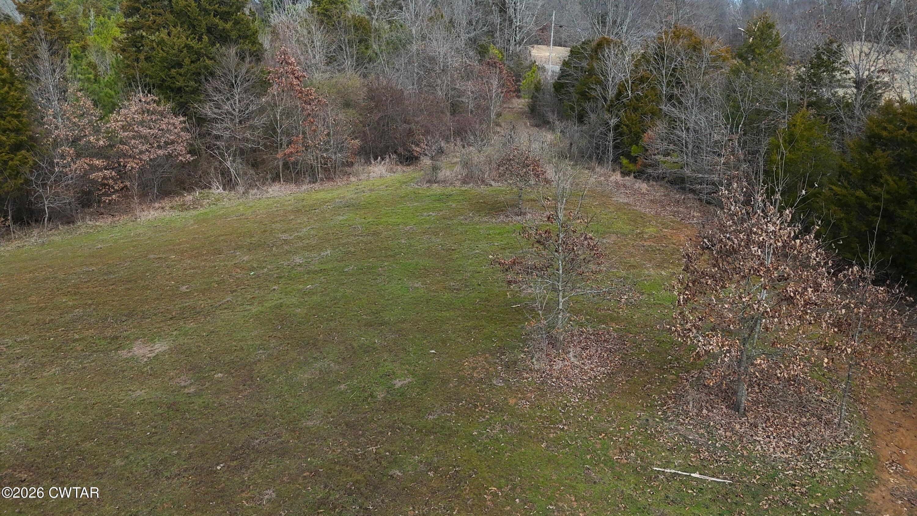 0 Mt Arie Road Greenfield, TN 38230 - Photo 8 of 18 a view of a yard