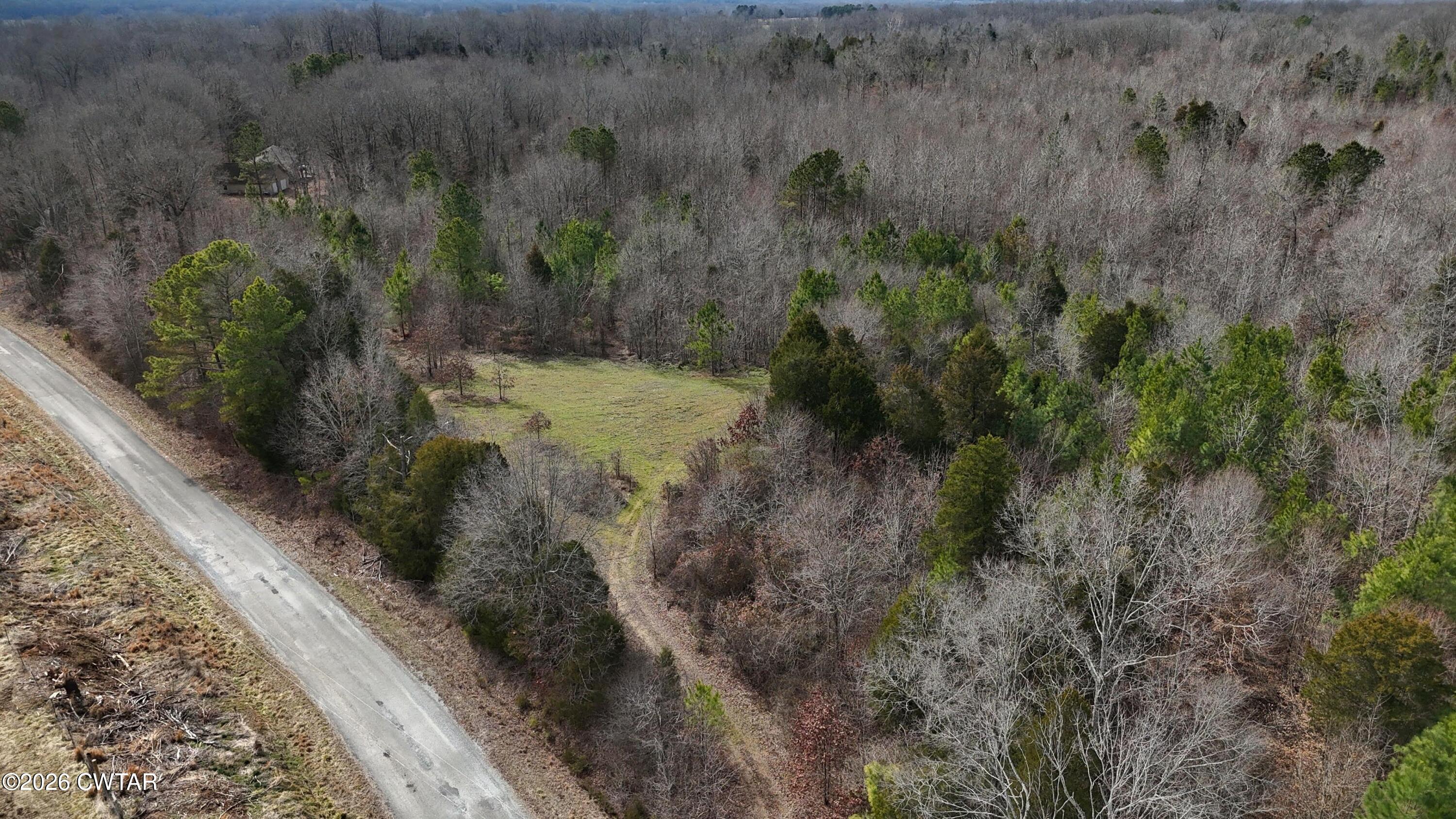 0 Mt Arie Road Greenfield, TN 38230 - Photo 9 of 18 a view of a forest with a dry top of a house