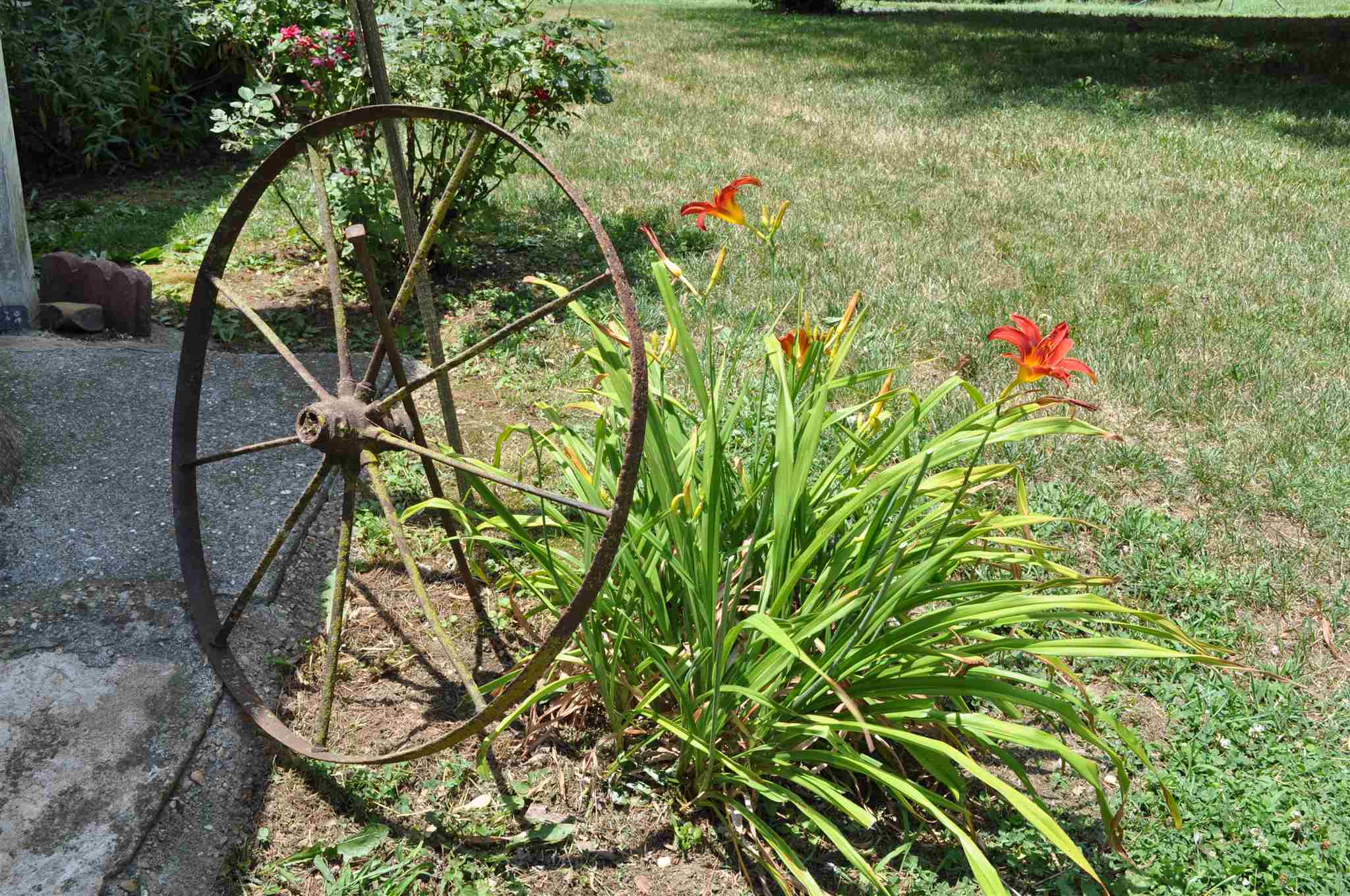 11656 Wampler Road Broadway, VA 22815 - Photo 23 of 25 Gallery Image 23