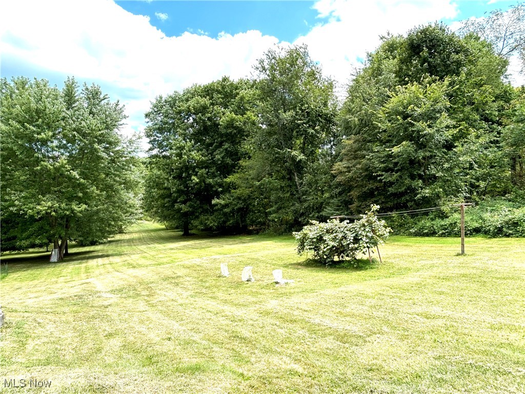 4660 Unity Line Road New Waterford, OH 44445 - Photo 36 of 46 Gallery Image 36