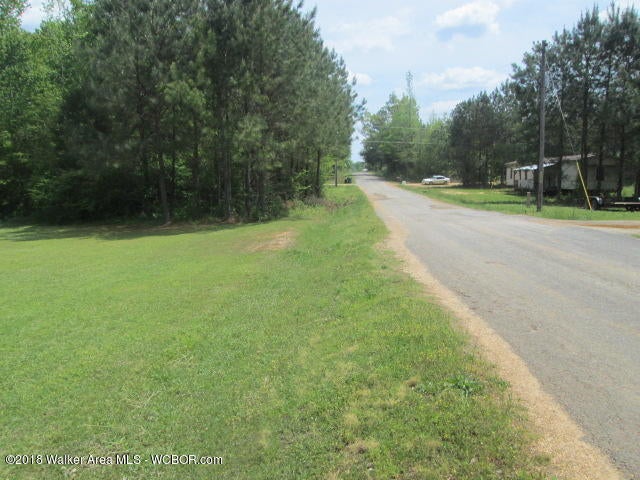 285 Prospect Road Sulligent, AL 35586 - Photo 21 of 23 Gallery Image 21