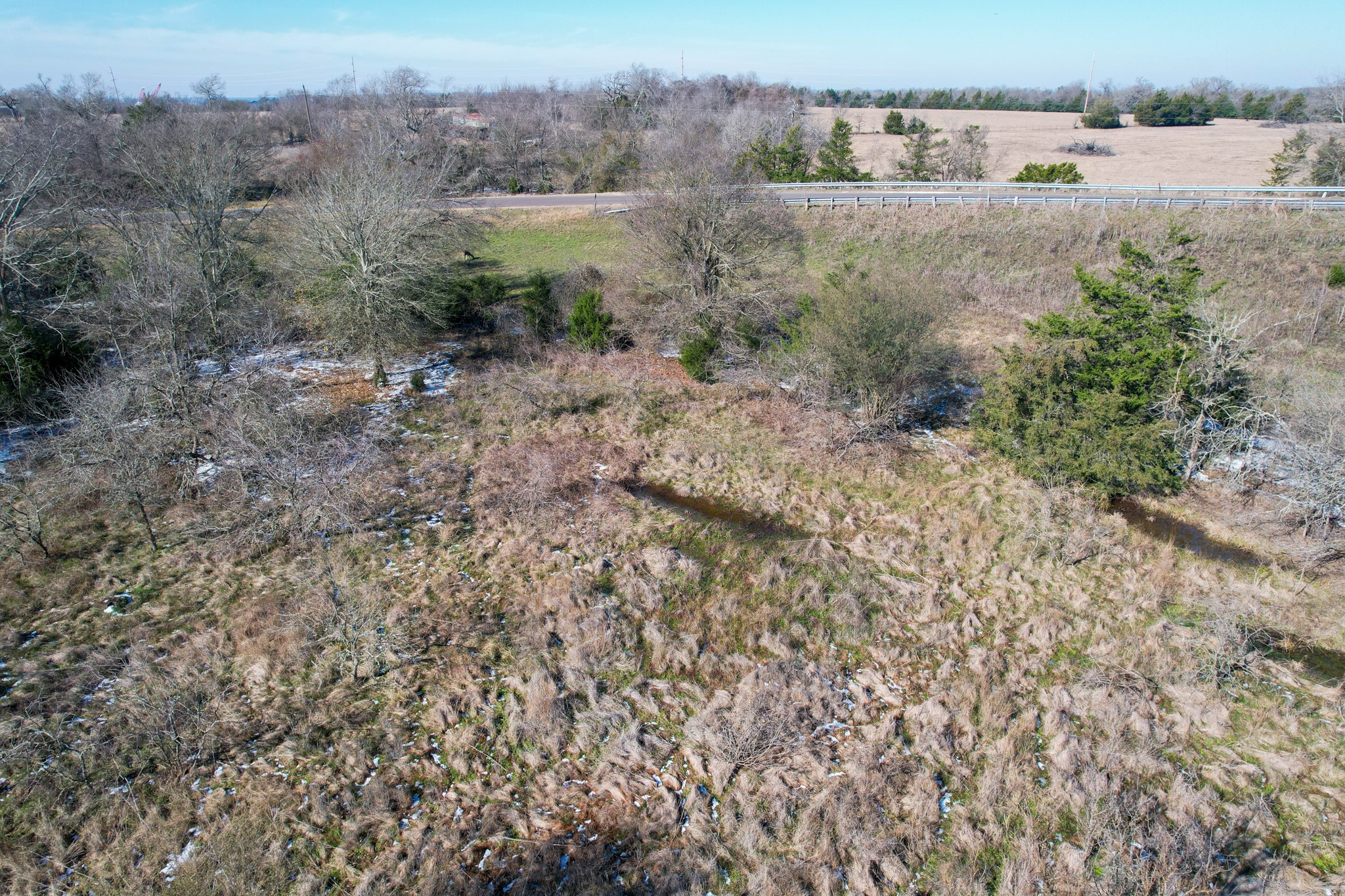 1 Prairie Grove Road Bremond, TX 76629 - Photo 17 of 24 a view of a dry yard with trees