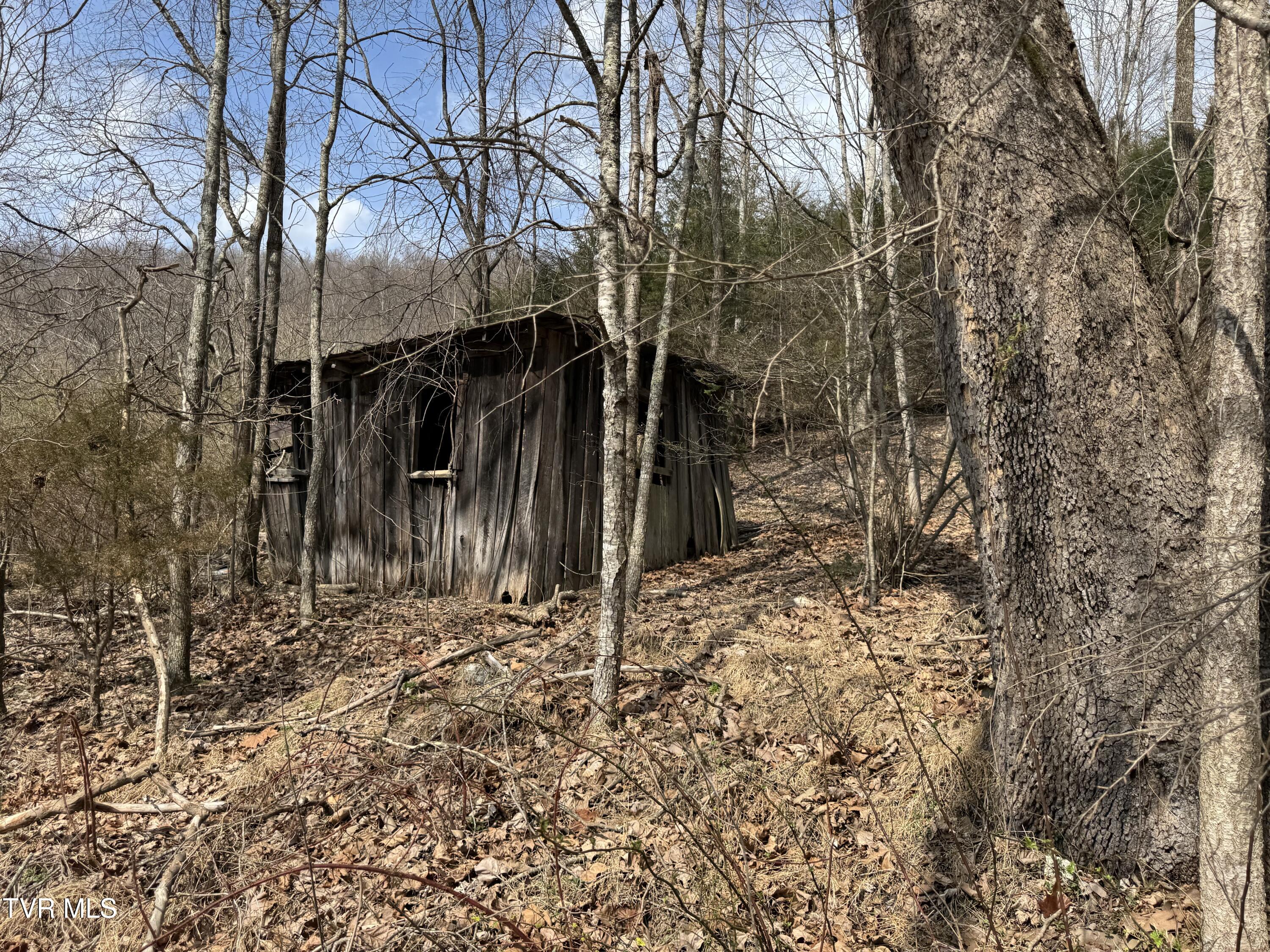 6996 Manville Road Gate City, VA 24251 - Photo 22 of 45 IMG_1710