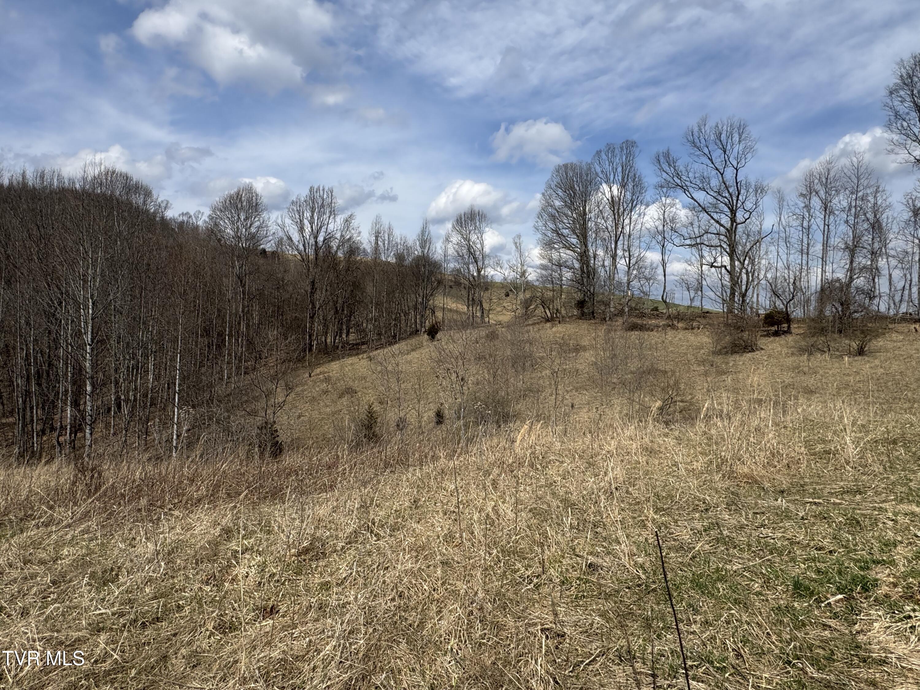 6996 Manville Road Gate City, VA 24251 - Photo 24 of 45 IMG_1720