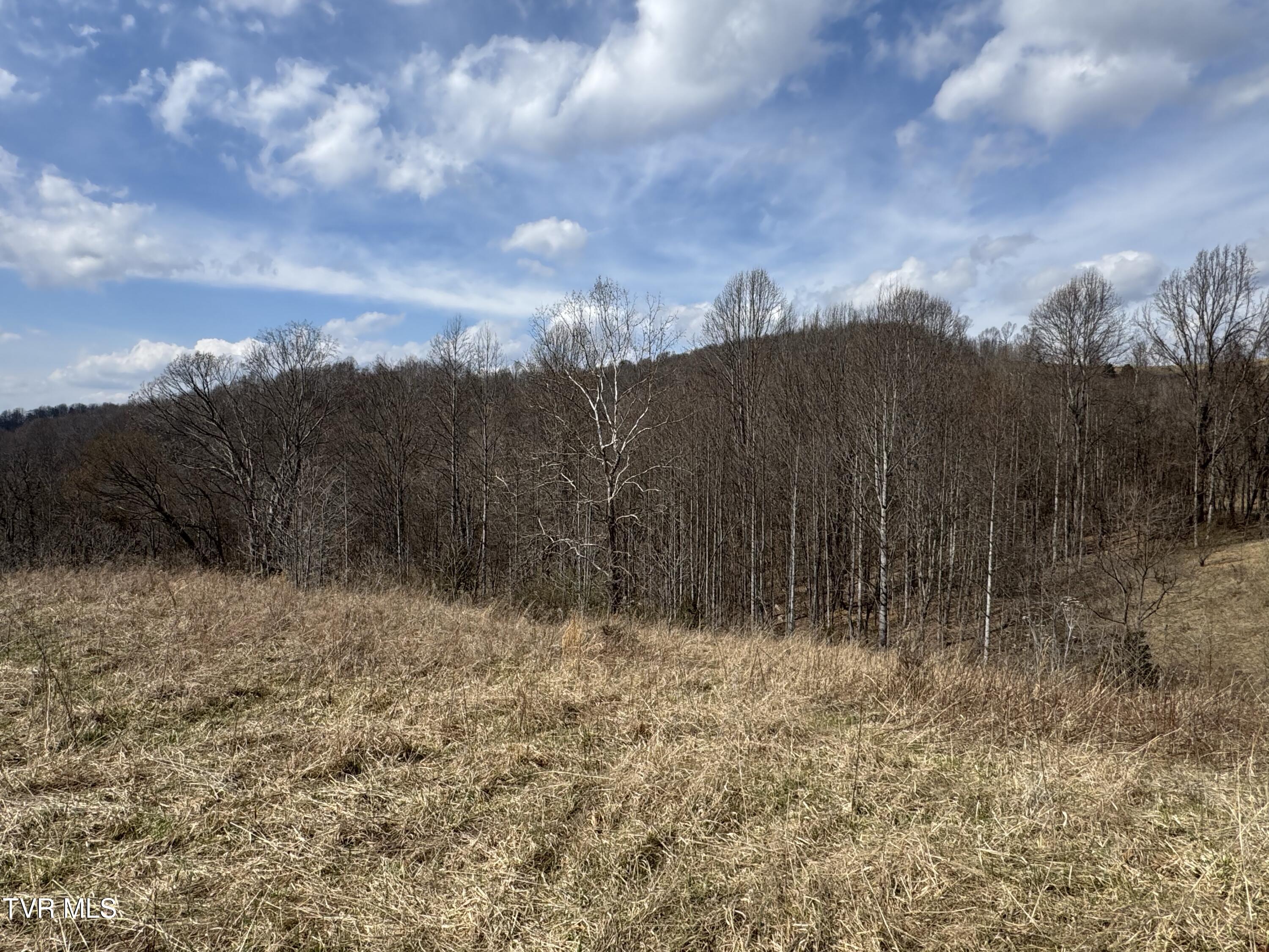 6996 Manville Road Gate City, VA 24251 - Photo 25 of 45 IMG_1721