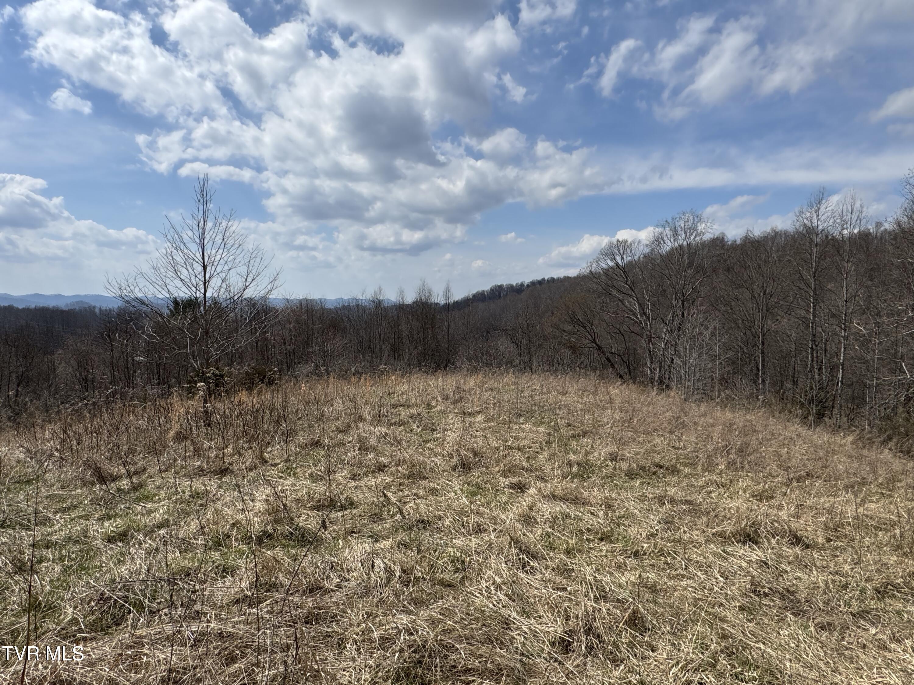 6996 Manville Road Gate City, VA 24251 - Photo 26 of 45 IMG_1722