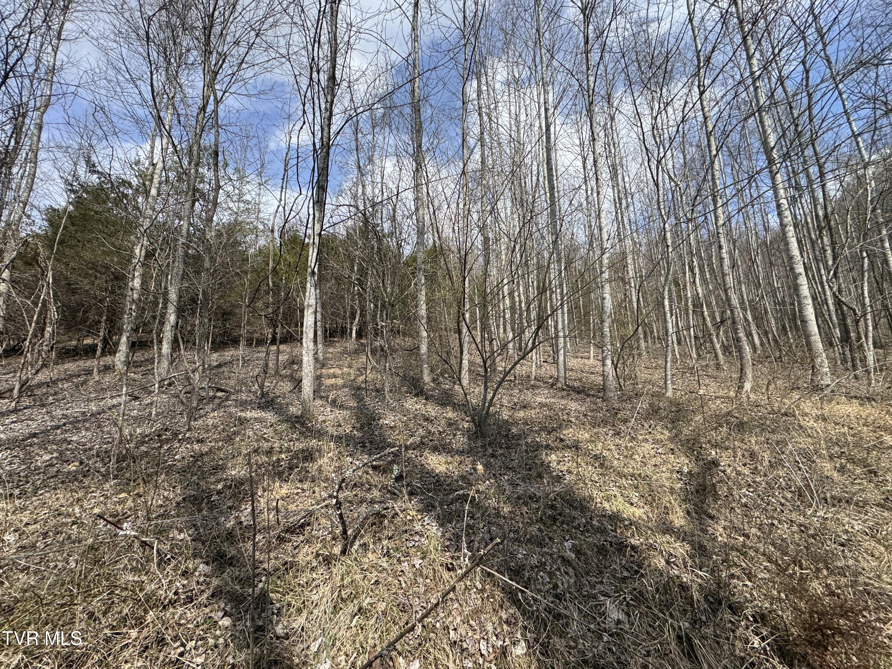 6996 Manville Road Gate City, VA 24251 - Photo 3 of 45 IMG_1712