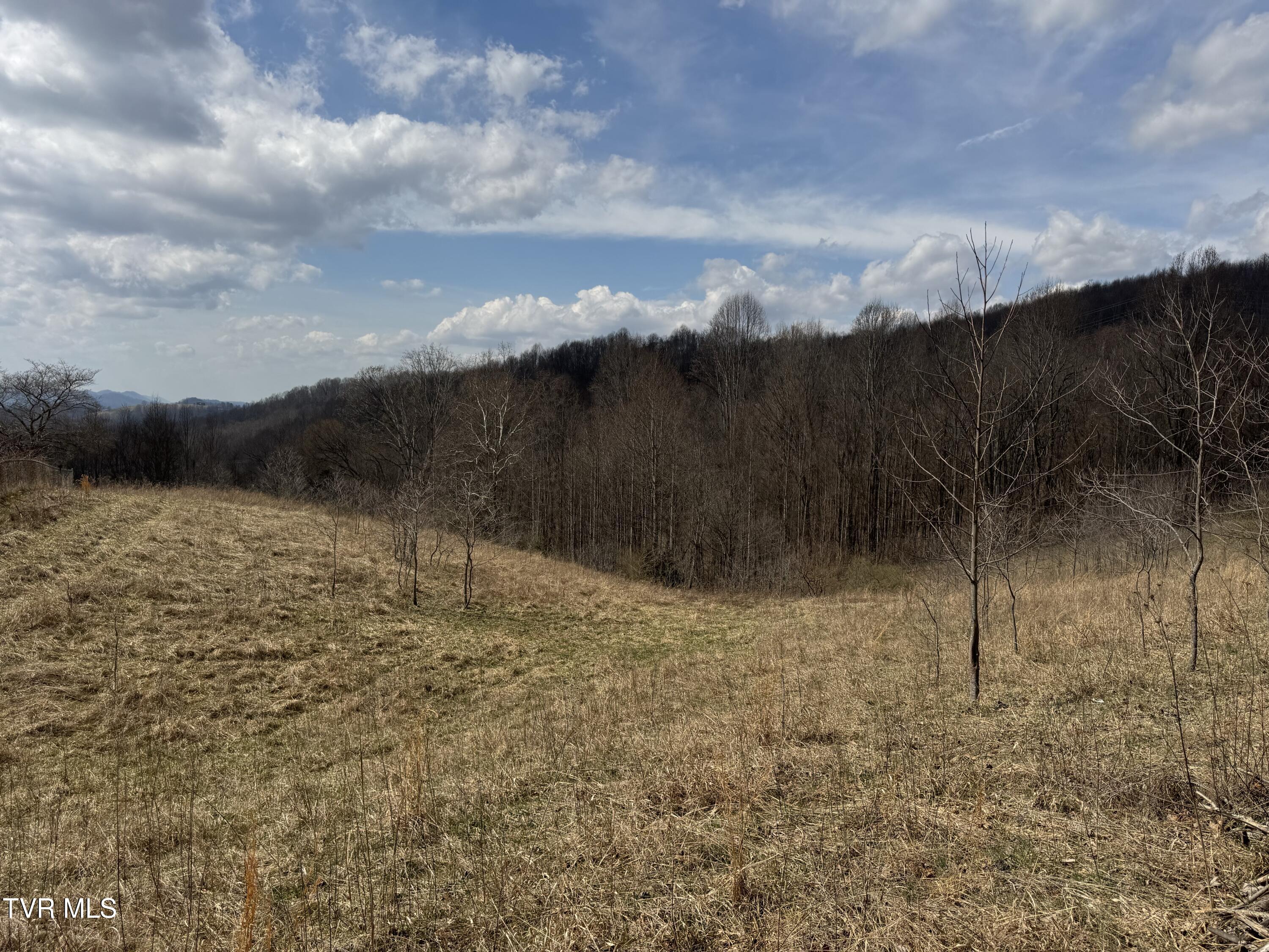 6996 Manville Road Gate City, VA 24251 - Photo 31 of 45 IMG_1727
