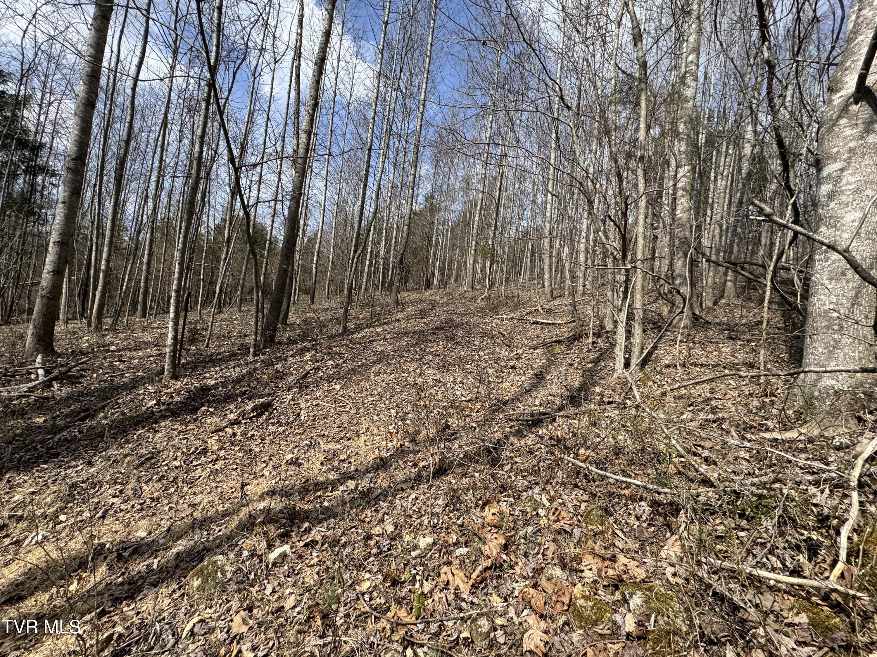 6996 Manville Road Gate City, VA 24251 - Photo 6 of 45 IMG_1714
