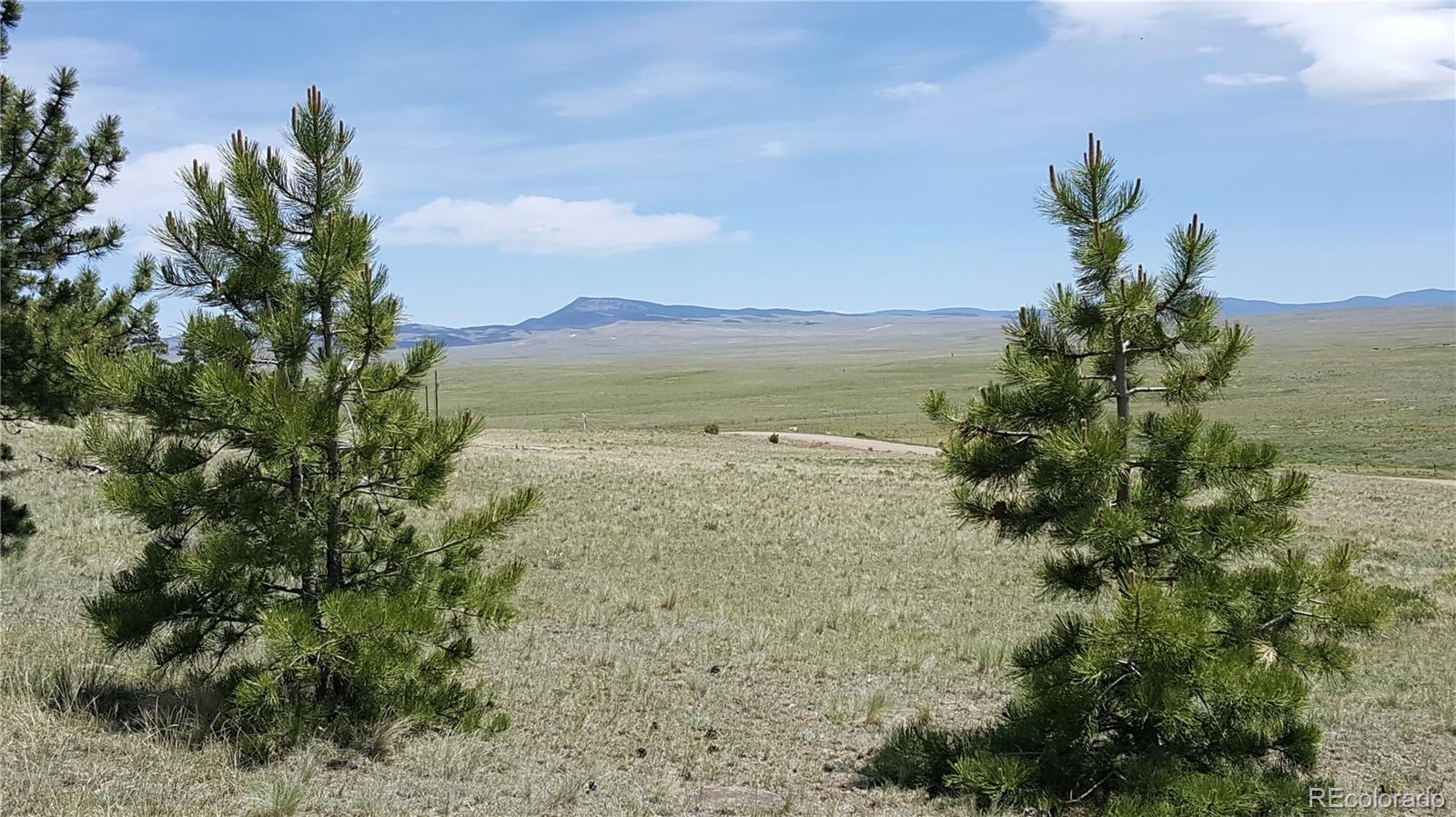 511 Forge Road Hartsel, CO 80449 - Photo 11 of 13
