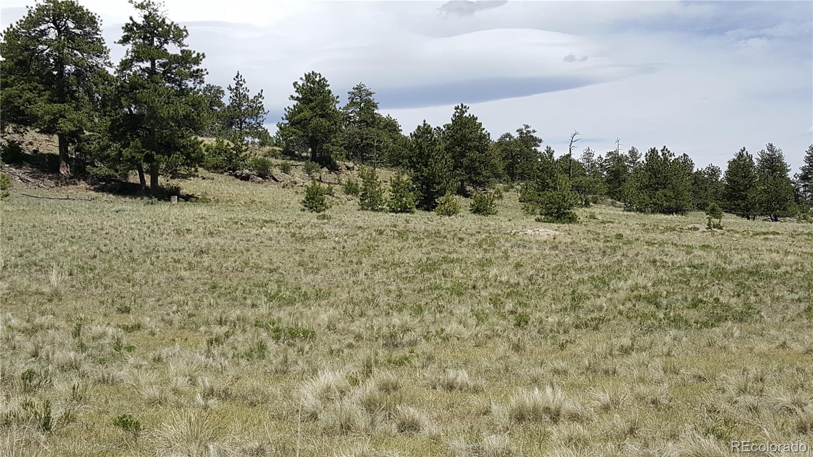 511 Forge Road Hartsel, CO 80449 - Photo 12 of 13