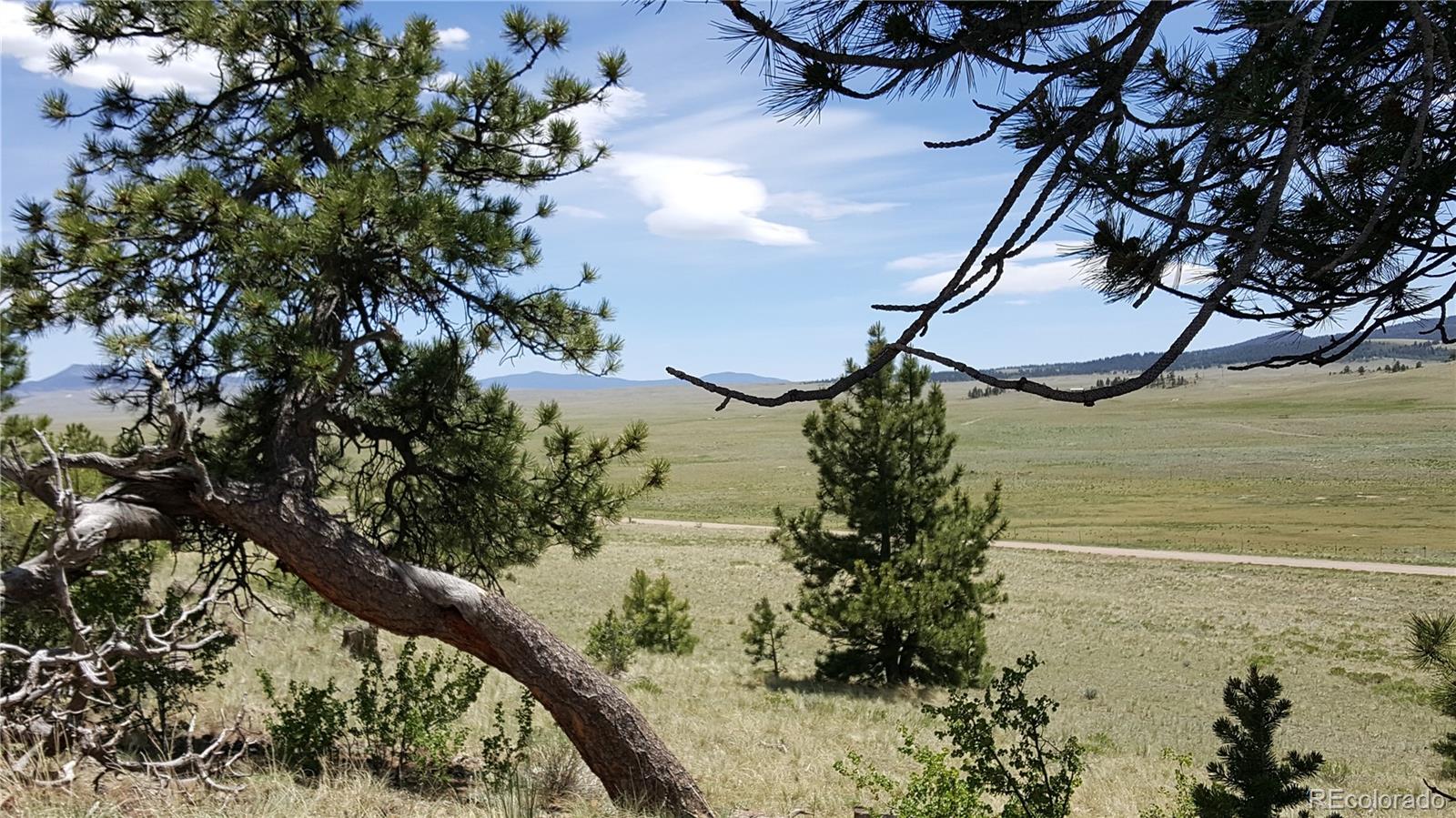 511 Forge Road Hartsel, CO 80449 - Photo 3 of 13