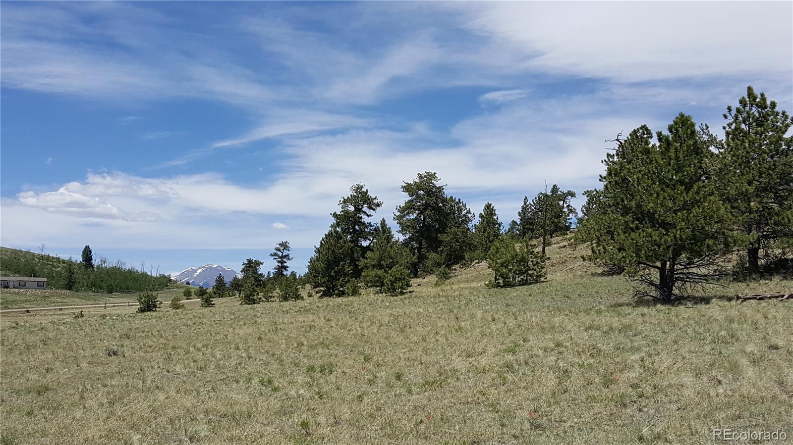 511 Forge Road Hartsel, CO 80449 - Photo 4 of 13