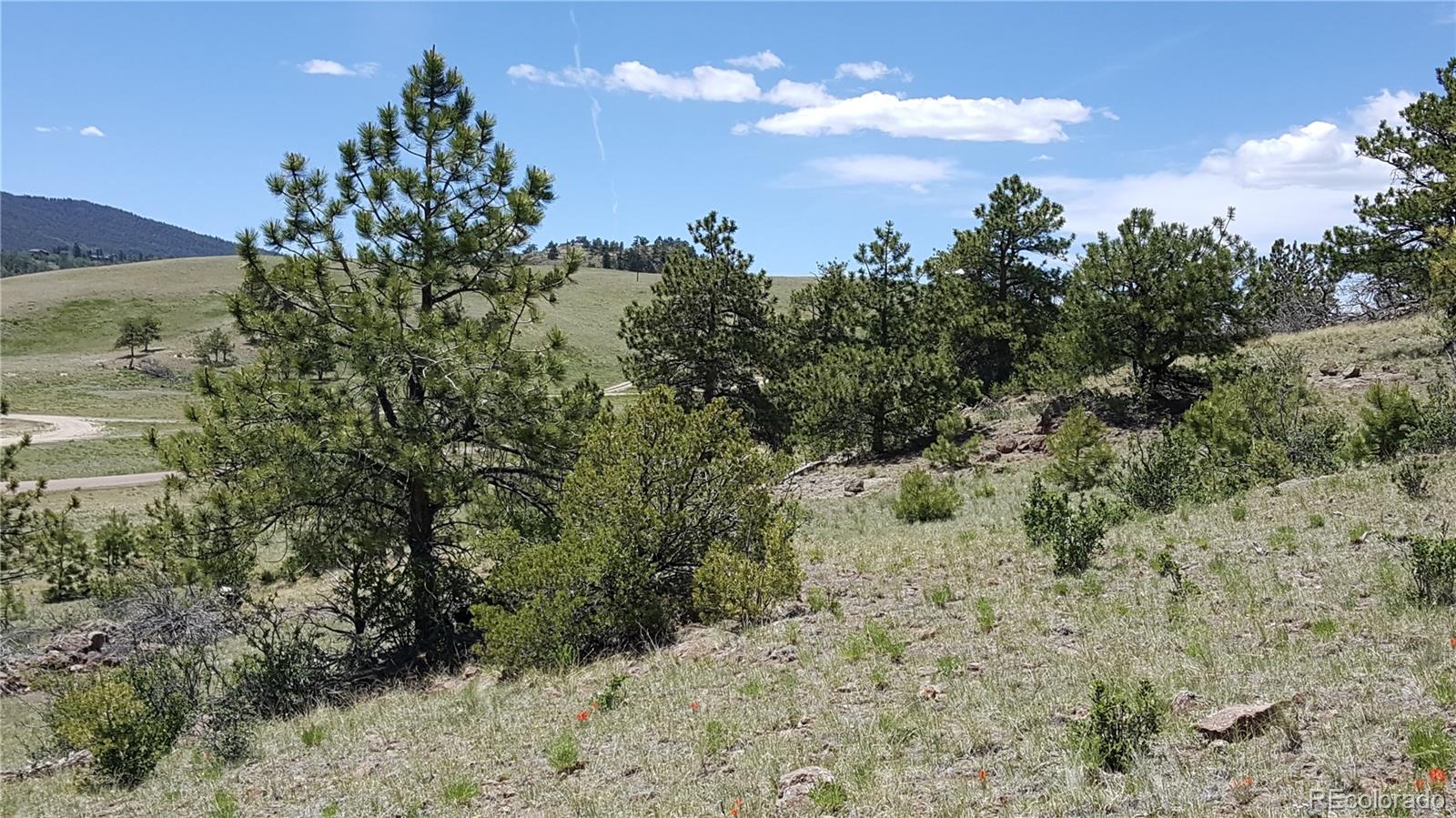 511 Forge Road Hartsel, CO 80449 - Photo 6 of 13