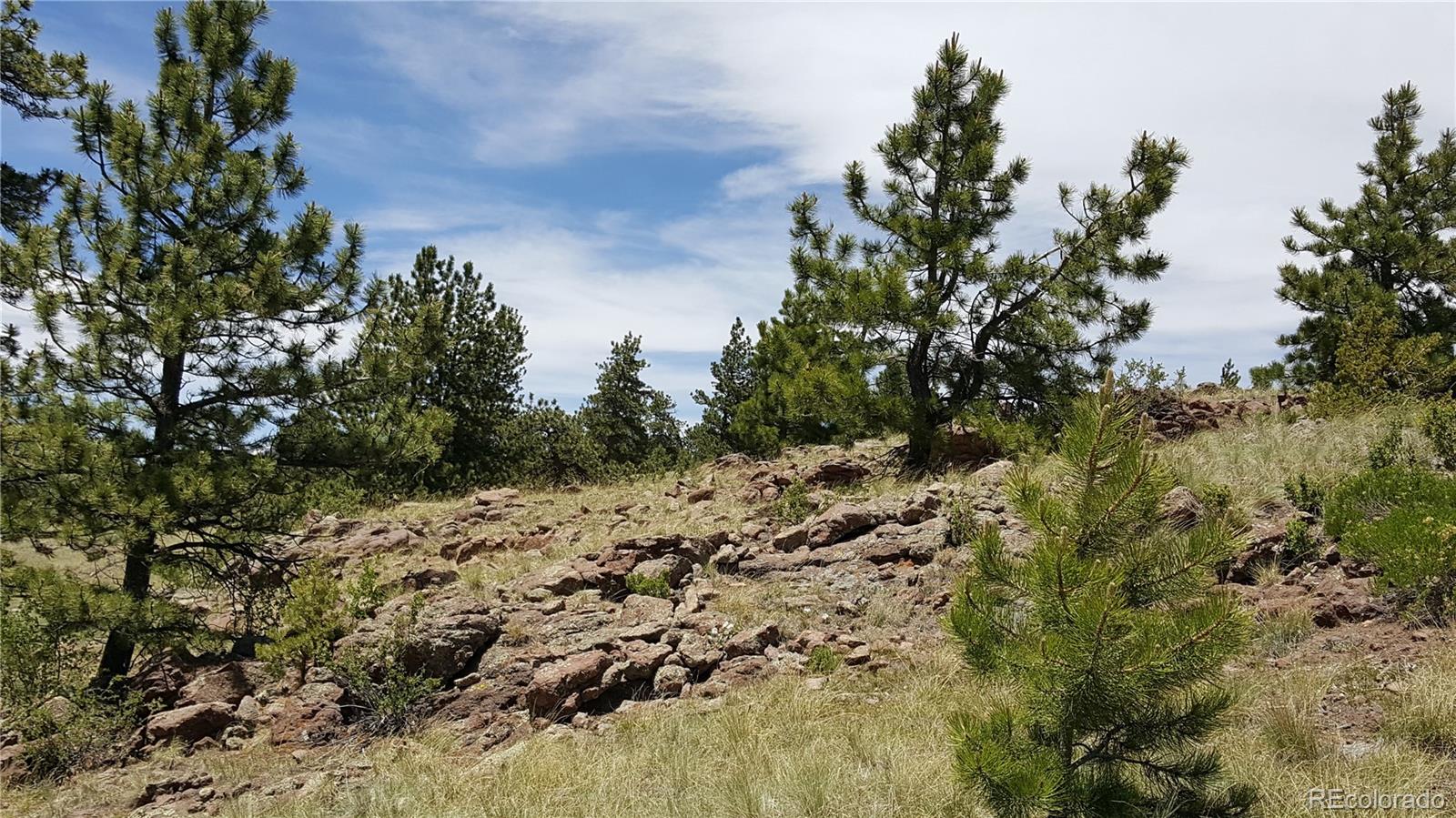 511 Forge Road Hartsel, CO 80449 - Photo 9 of 13