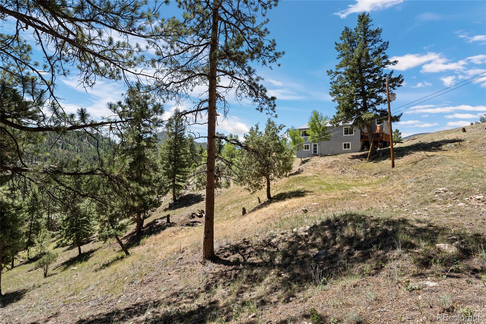 1729 Crow Valley Road Bailey, CO 80421 - Photo 10 of 49